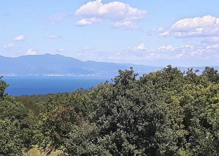 Apartamento Krizanovic