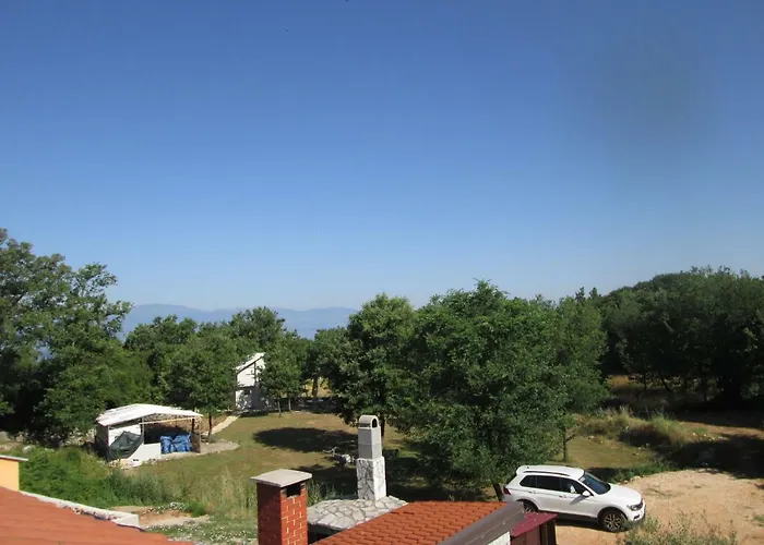 Krizanovic *