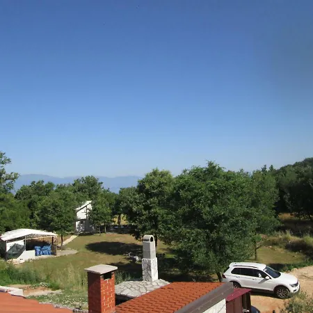 Krizanovic *